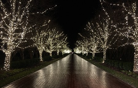 St Michaels Maryland Scenes Christmast in St Michaels Maryland